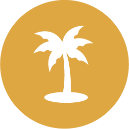 Icon-Palm Tree